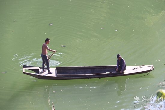 乘船出行、打魚(yú)至今都是盤(pán)山村民生活的一部分 黃錚 攝_副本.jpg