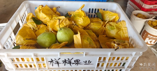 微信圖片_20250810114123_24.jpg