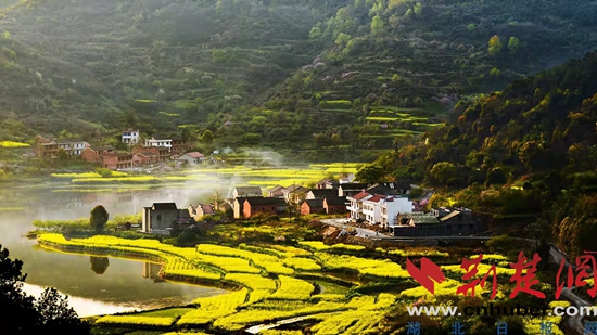 13沼山古村桃鄉(xiāng)景區(qū)油菜花.jpg