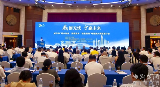 大灣區(qū).jpg