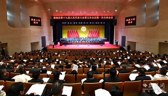 通城兩會(huì)3.jpg